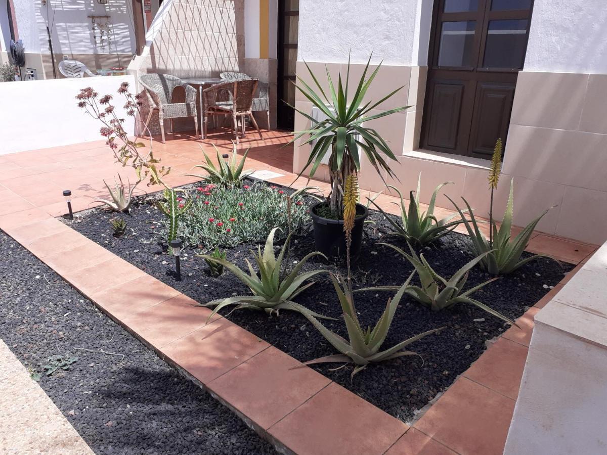 Beautiful Coastline Bungalow Near The Ocean 50 M Apartment Costa De Antigua Exterior photo